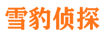 峰峰市婚姻出轨调查